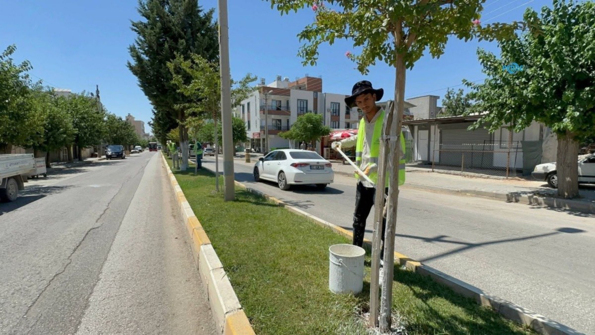 Başkan Tutdere’den yeşil dokuya koruma hamlesi: Ağaçlara kireçleme ve budama bakımı  - Videolu Haber