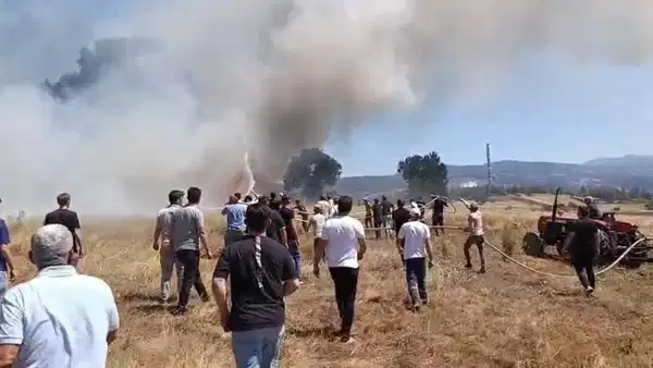 Bursa'da anız yangını: 3 dönüm alan zarar gördü