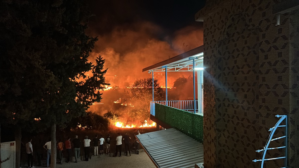 Dere yatağında korkutan yangın  - Videolu Haber