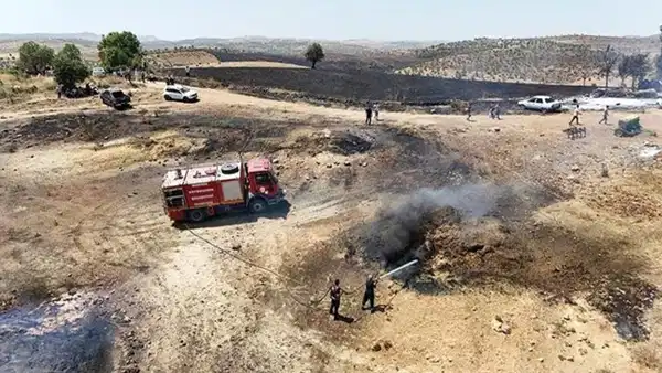 Diyarbakır'ın 2 ilçesinde yangın: 270 dönümlük alan kül oldu