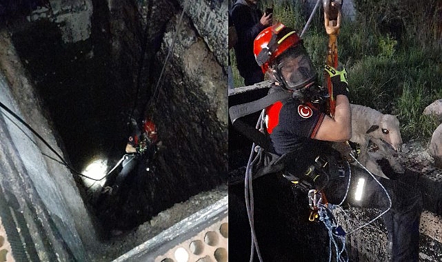 Kuyuya düşen kuzuya itfaiye yetişti!