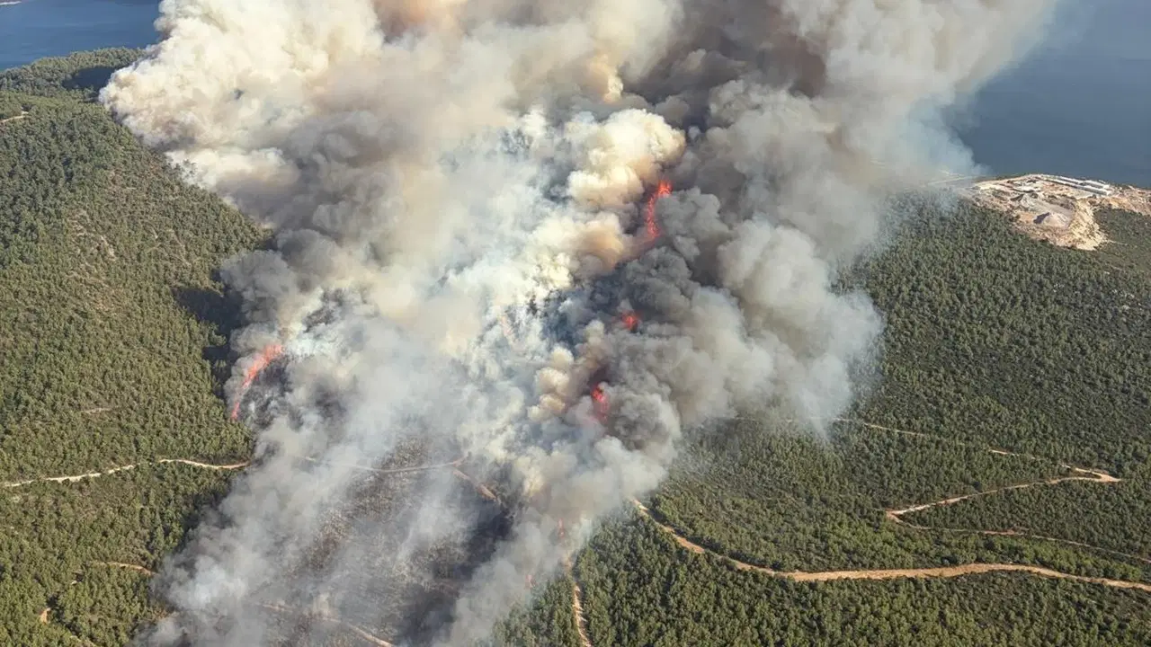 Muğla’da 3 ayrı noktada yangın: Müdahale sürüyor