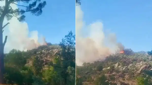 Muğla'da orman yangını: Ekipler müdahale ediyor