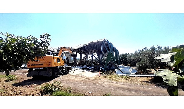 Osmangazi'de Zeytinliğe Yapılan Kaçak Depoya İzin Yok