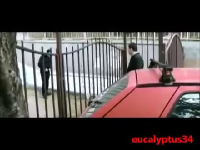 Dünyanın En Gereksiz Adamı